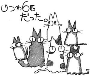 cats6.jpg